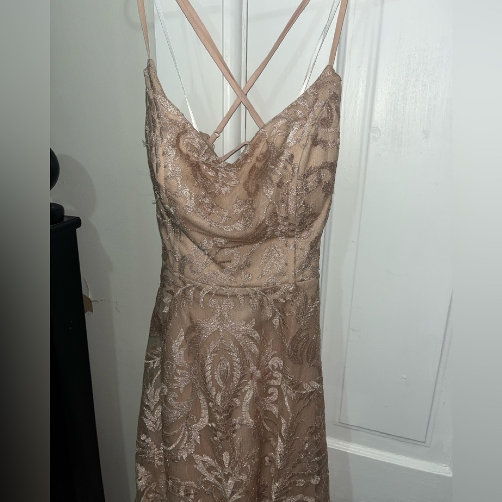 Windsor Beige Backless Lace Dress